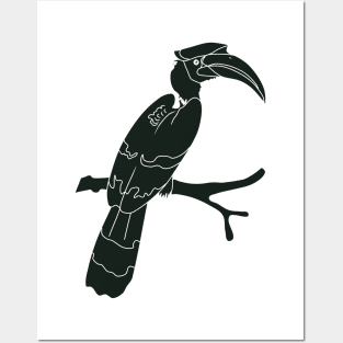 hornbill perching on a branch Posters and Art